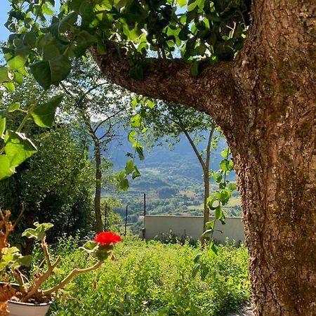 B&B Al San Francesco カステル・ディ・サングロ エクステリア 写真
