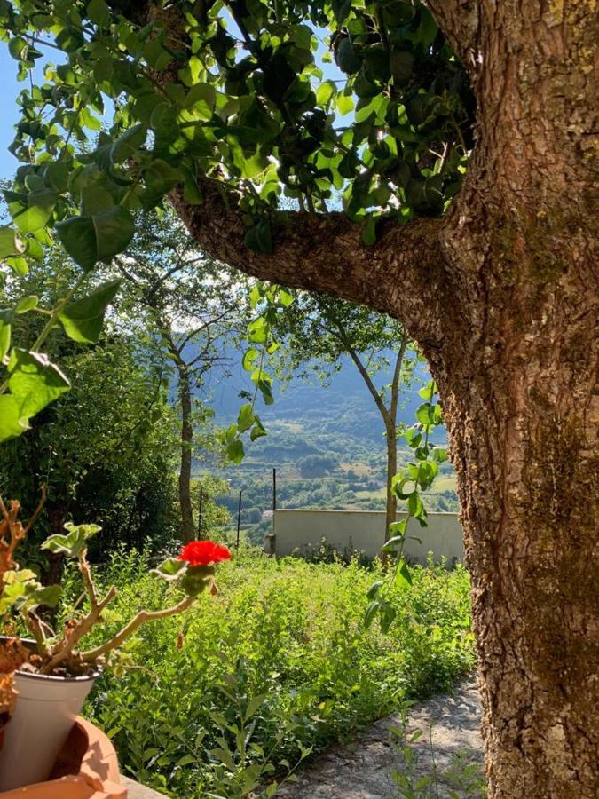 B&B Al San Francesco カステル・ディ・サングロ エクステリア 写真